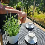 Biszkoptowa 3* Chrzanow Maly