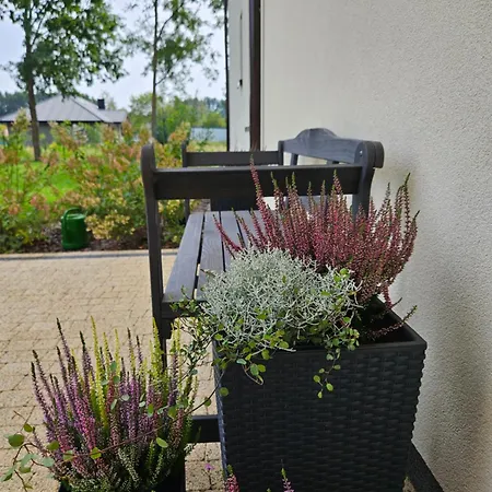 Biszkoptowa 3* Chrzanow Maly